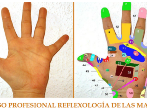 CURSO DE REFLEXOLOGÍA DE MANOS